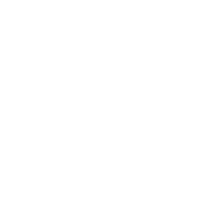 AI-VORTEX
